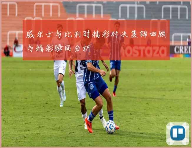 威尔士与比利时精彩对决集锦回顾与精彩瞬间分析